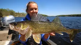 Walleye Showdown - Artificial Vs Live Bait