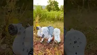 Remote Control Robotic Elephant Toy Unboxing | Redkashshorts