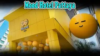 Mood Hotel Pattaya Reviews | Mood Hotel Pattaya Thailand | Hotel In Pattaya