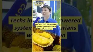 Technologies at CIIE: AI-powered system grades durians with precision