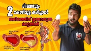 ദിവസവും 2  കോഴിമുട്ട കഴിച്ചാൽ ശരീരത്തിന് ഉണ്ടാവുന്ന മാറ്റങ്ങൾ