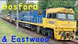Trains at Gosford and Eastwood stations - Some quick catches