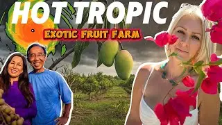 Hurricane-Battered Exotic Fruit Farm Holds The Wisdom Of A Lifetime