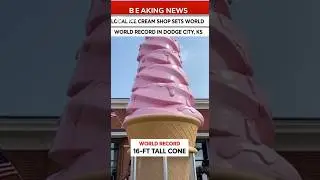 Local Ice Cream Shop Sets World Record #sora2 #ai
