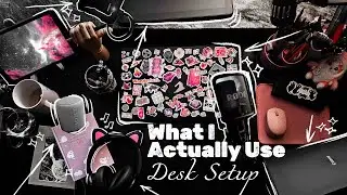 Artist Desk & Tools ✦ Full Illustrator Setup + Must-Have Gear