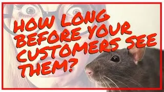 Restaurant/Bar Rat Removal, Call A Pro, Discretion, Oven, ., Customer Saw Rat, Melbourne