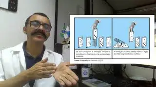 Condições para uma Cultura Justa