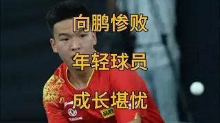 张本智和三局完胜向鹏，成为国乒男队新生代成长的阻碍。