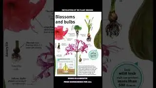 Encyclopedia of the Plant Kingdom