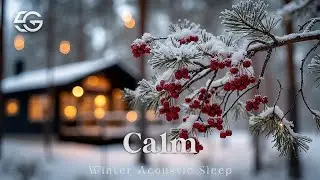 Winter Guitar Melodies | Relaxing Acoustic for Inner Peace & Sleep Soothing Study Music ❄️