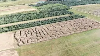 Get an aerial view over the Strites Orchards corn maze