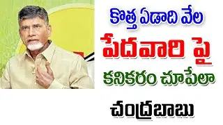 రాష్ట్రంలో 2004 నాటికి అభివృద్ధి లక్ష్యంగా ap government announced development.