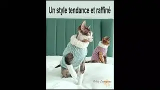 Pull en laine Col fourrure pour chat