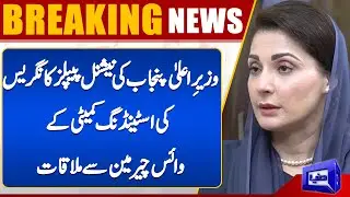 Punjab CM Meets Vice Chairman of China's National People's Congress Standing Committee | Dunya News
