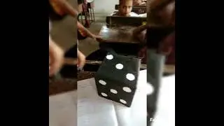 vocabulary cube game#new #reels #learningisfun #learningwithme #games #gameplay #science#viralvideo