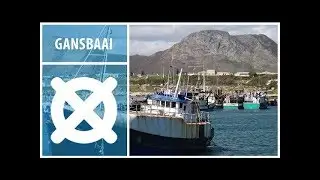 Gansbaai | Xplore This Outdoor Adventure Hub | XPLORIO.com