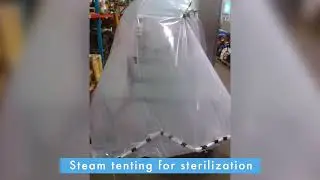Optima Steamer applications around manufacturing facilities