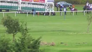 LEOPARDSTOWN RACE COURSE ,(RACE DAY)