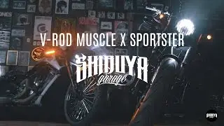 V-ROD MUSCLE X SPORTSTER | SHIBUYA GARAGE