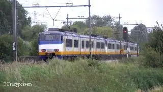 Drie Treinstellen Sprinter (NS SGMm) raast door het weiland!