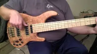 STR LS549 5-string Burl Maple