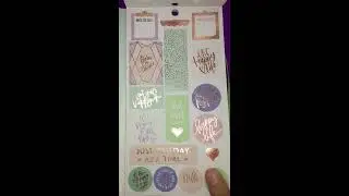 The Happy Planner Daydreamer accessory book flip-through