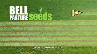 Custom Seed Mixes for Every Farm