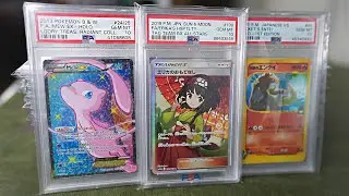 My PSA Pokemon Collection at 21 (+$25,000)