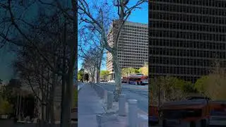 United States Court House, DTLA, Downtown Los Angeles, California #dtla #losangeles #losangelesca
