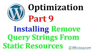 WordPress Optimization Part 9: Installing Remove Query Strings From Static Resources