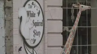 Olney Small Businesses
