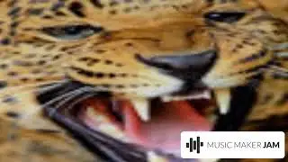 Mixed Up- Domzilla