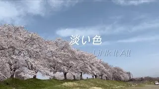 淡い色　LiNk It All