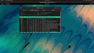 How to Install Something.... Anything In  the Fedora terminal