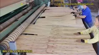 Energy-saving and environmentally friendly wood/veneer drying machineWA8615963347203 #plywoodmachine