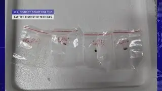 Chinese nationals charged with smuggling toxic fungus into Michigan | On Balance