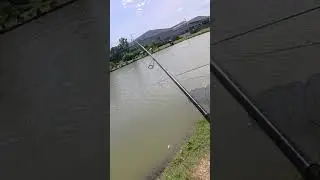 The rod is bouncing back and forth! #fishing