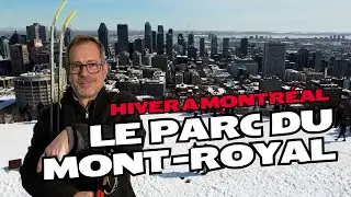 Hiver a montreal: Promenade dans le parc du Mont Royal
