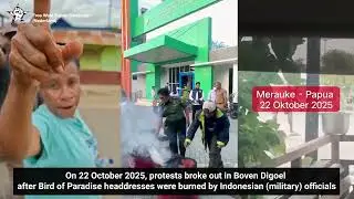 Бовен Дигоэль, Западное Папуа: протест после того, как индонезийские чиновники сожгли головные уб...