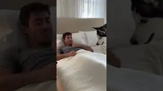 Dogs Wake Up Sleeping Owner Just In Time!