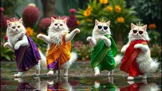 😻🐾️💃Cutest Cat Dances Compilation😻🐾️💃 304 #cat #ai #dance #cute #kitten #cat #catdance #viralvideo