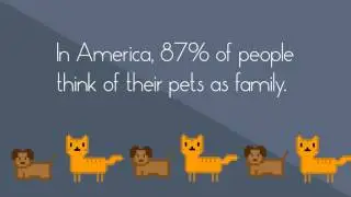 Take care of your pet with a pet trust | The Siegel Law Group, P.A.