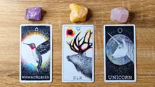 THIS IS MEANT TO FIND YOU BEFORE A BIG SUCCESS! 🌟🦋🍀 Pick A Card 🔮✨ Timeless Tarot Reading