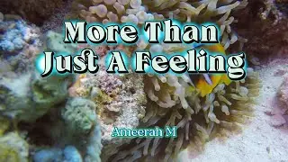 More Than Just A Feeling – Ameerah M | Official Lyrics Video