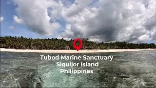 Tubod Marine Sanctuary | Siquijor Island | Philippines 🇵🇭