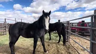 Jheart Mares. 