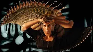 KLARTRAUM - Manifestation (Original Album Music Video) solid pumping dub techno (Video Trig Fardust)