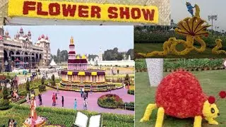 ಮೈಸೂರು ಅರಮನೆ ಮೈದಾನದಲ್ಲಿ ಹೂವುಗಳ ಸೌಂದರ್ಯ/Mysore palace flower show #RamyaKTS#
