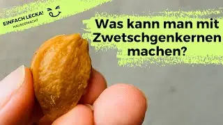 Amaretto aus Zwetschgenkernen selbst machen!