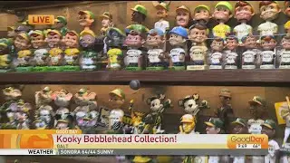 Bobblehead Collection